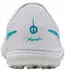 Nike Tiempo Maestro Academy white/dusty cactus-white