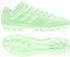 Adidas Nemeziz 17.3 (CP8995) green