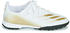 Adidas X Ghosted.3 FG Footwear White/Metallic Gold Melange/Core Black