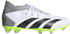 Adidas Predator Accuracy.3 FG Kids cloud white/core black/lucid lemon