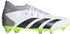cloud white/core black/lucid lemon