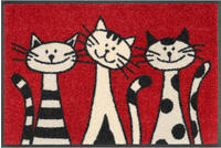 wash+dry by Kleen-Tex Fu&szlig;matte "Three Cats" rechteckig 9 mm H&ouml;he...