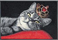 wash+dry by Kleen-Tex Fu&szlig;matte "Royal Cat" rechteckig 7 mm H&ouml;he Schmutzfangmatte,