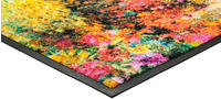 Wash+Dry Fußmatte waschbar Primavera 50 x 75 cm