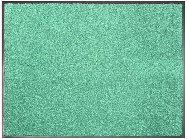 Primaflor Schmutzfangmatte CLEAN verschiedene Größen Mintgrün 90 x 150 cm