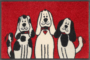 Wash+Dry Fußmatte waschbar Three Dogs 40x60 cm