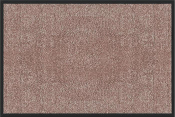 Karat Schmutzfangmatte Rhine 40x60 cm braun