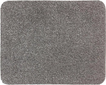Astra Schmutzfangmatte innen waschbar 60x75 cm - Sauberlaufmatte grau Entra