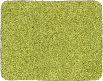 Astra Sauberlaufmatte Entra Saugstark Gr&uuml;n 60 x 75 cm