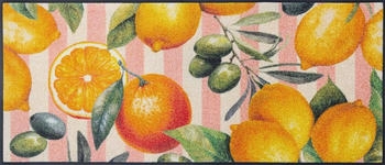 Wash+Dry Fußmatte Tasty Delight 60x140 cm