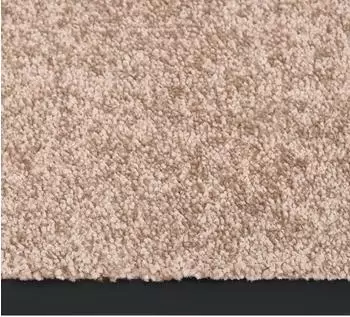 vidaXL Fußmatte 60x80cm Polypropylen Velour beige