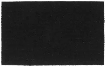 vidaXL Fu&szlig;matte Kokosfaser schwarz 50x80cm
