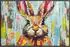 Wash+Dry Fußmatte Sammy Hase 50x75cm (079166)