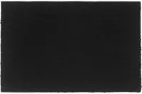 vidaXL Fu&szlig;matte Schwarz 65x100 cm Kokosfaser Getuftet