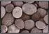 Andiamo Rinaldo Stones Fußmatte 50x70cm, taupe (700690)