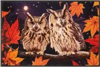 wash+dry by Kleen-Tex Fu&szlig;matte "Night Owls" rechteckig 7 mm H&ouml;he