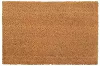vidaXL Fu&szlig;matten 2 Stk. Natur 40x60 cm Kokosfaser Getuftet