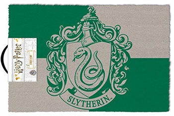 Pyramid international Slytherin 60x40cm