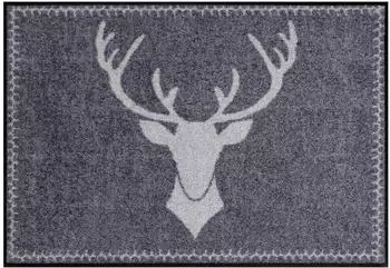 Salonloewe Franz 50x75cm grau
