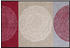 Salonloewe Nestor 40x60cm