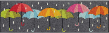 Salonloewe Raindance 30x100cm