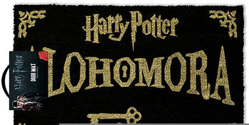 Pyramid international Harry Potter (Alohomora) 60 x 40cm