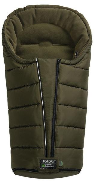 Odenwälder Carlo olive