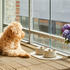 DOG Copenhagen Vega Bowl S/M, Steel