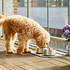 DOG Copenhagen Vega Bowl S/M, Steel
