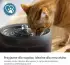 Philips Pet Series Katzenbrunnen (PAW3210/02)