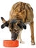 HUNTER Keramik-Napf Osby Glazed orange 1900ml