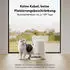 Petlibro WHITE 2L AIR Futterautomat