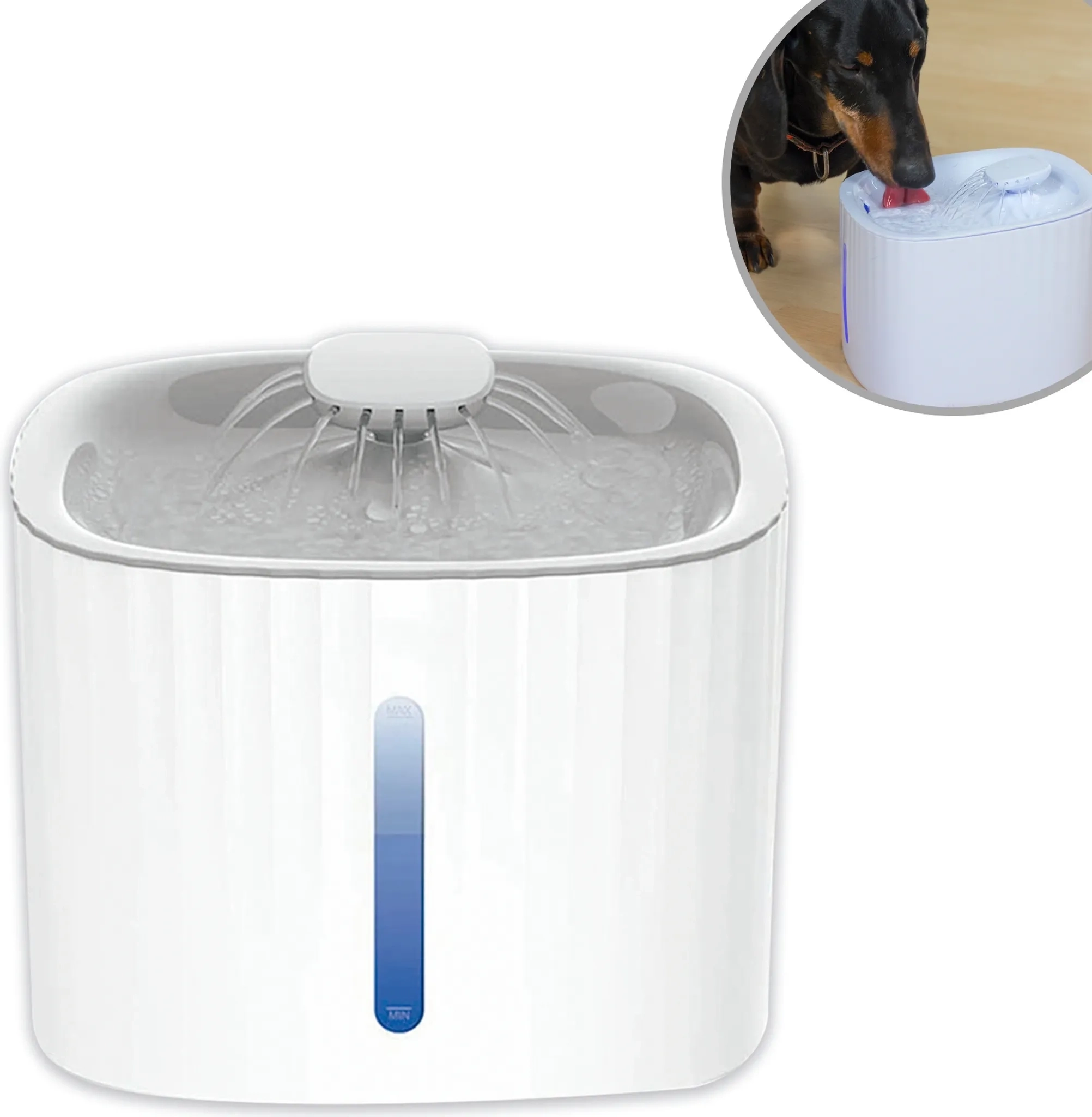 Starlyf Pet Fountain