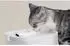 Petlibro Dockstream (250 cl)
