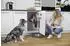 Hailo Futterstation Hund, 1 Napf, verstellbar (3290001)