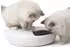 Catit PIXI Smart 6-Meal Futterautomat für Katzen
