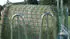 Kerbl Slow feeding net 2,8 x 2,8 m mesh size 100 x 100 mm (291263)