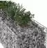 vidaXL Gabionen-Hochbeet silber 180x60x55cm verzinkter Stahl (42033323)