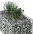 vidaXL Gabionen-Hochbeet silber 100x60x55cm verzinkter Stahl (42033321)