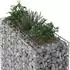 vidaXL Gabionen-Hochbeet 2 Stk. 130x50x150cm verzinkter Stahl (3422233)