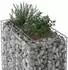 vidaXL Gabionen-Hochbeet 90x50x80cm verzinkter Stahl, silber