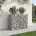 vidaXL Gabionen-Hochbeet 100x50x80cm verzinkter Stahl, silber