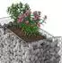 vidaXL Gabionen-Hochbeet 50x100x100cm verzinkter Stahl, silber (42033308)