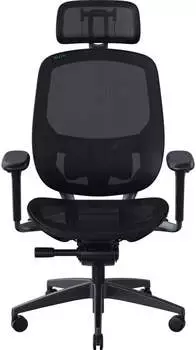 Razer Fujin Pro