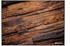 wood: Sharkoon Skiller SFM12