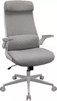 Cougar /Office-Stuhl Stryder, Stoff, Weiss, Gaming Stuhl, Schwarz, Weiss