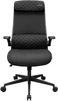Cougar Stryder Black – Cougar Stryder Black – Gaming Stuhl mit durchdachter Basis-Ergonomie