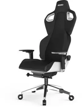 Recaro Exo Platinum Black & White