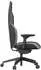Recaro Rae Essential Grau