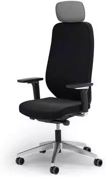 Ergotopia MasterBack Executive schwarz